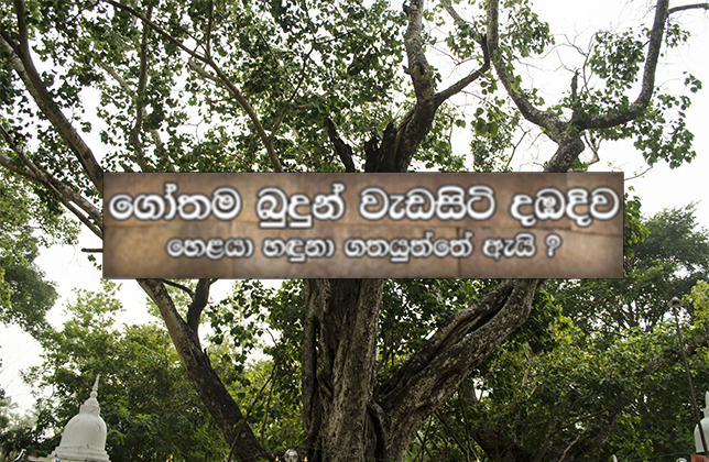 බුදුන් උපන් දඹදිව හෙළයා හඳුනාගත යුත්තේ ඇයි?