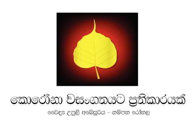 කොරෝනා වසංගතයට ප්‍රතිකාරයක්